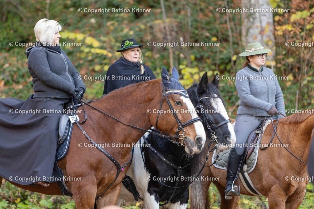 LL24-260 | foto-bettina-krinner - Realisiert mit Pictrs.com