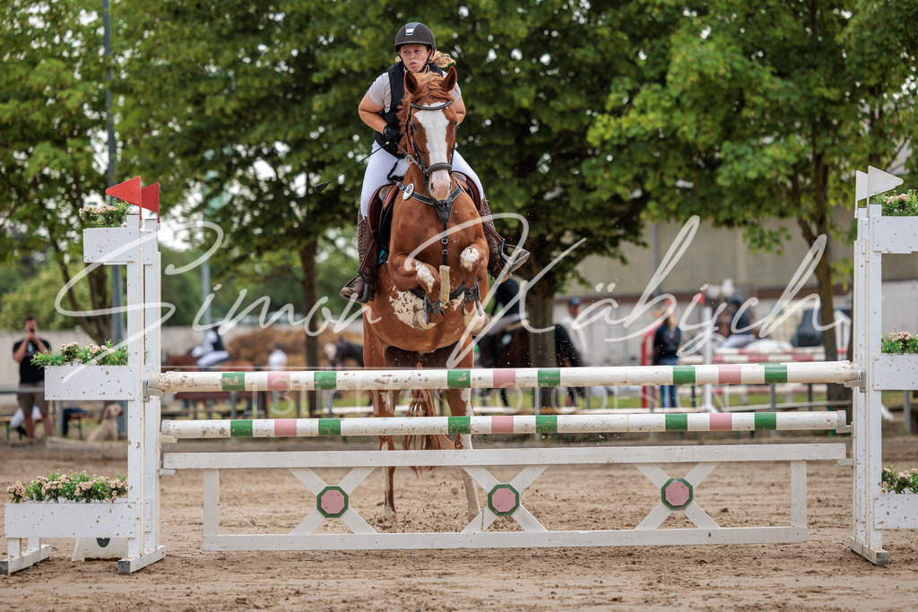 20260531-_3LI3368 | Tierfotografie Pferde, Hunde, Katzen, Haustiere.
Turnierfotografie Reitturniere, Reiten, Springreiten, Dressur in Hanau, dem Main-Kinzig-Kreis und dem Rhein-Main- Gebiet um Frankfurt