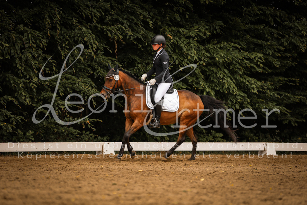 DoDrE00494 | Leoni Ertmer Photography - Realisiert mit Pictrs.com