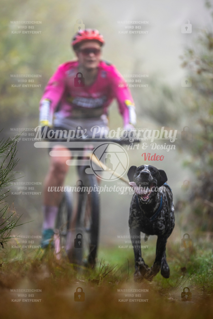 MompixPhotography_20TSB_E4_DS1-18 | PayLife