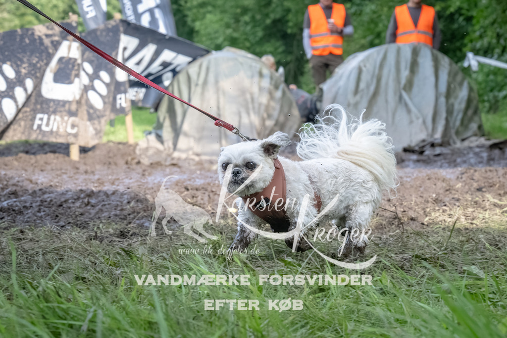 1740_ZZ93108-Bearbeitet | kk-dogfotos
