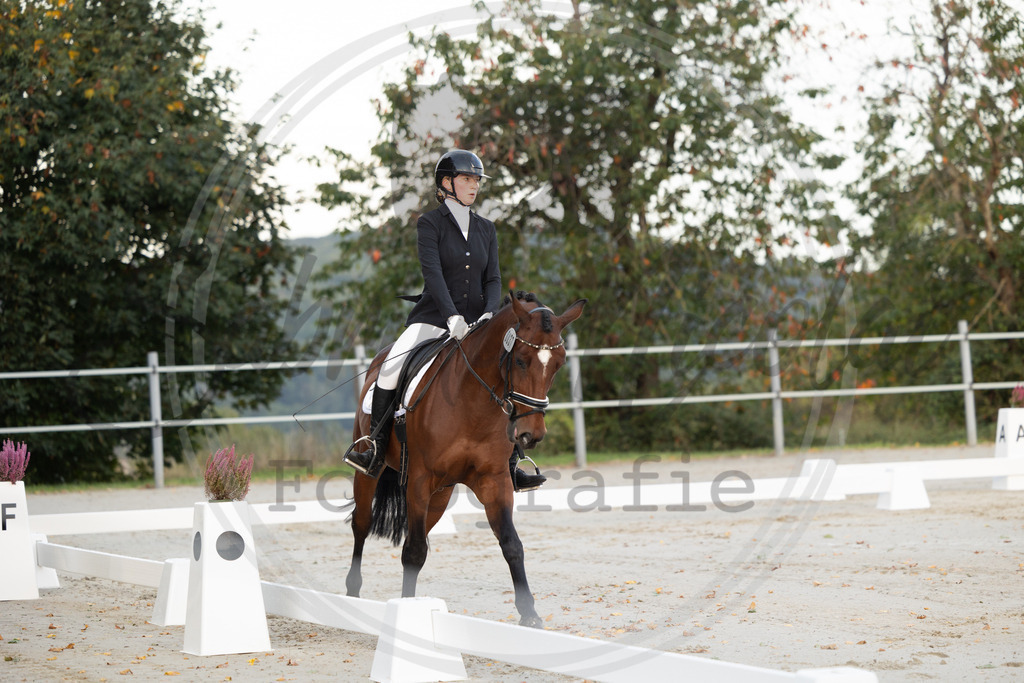 994A9844 | sabrinanicolaifotografie - Realisiert mit Pictrs.com