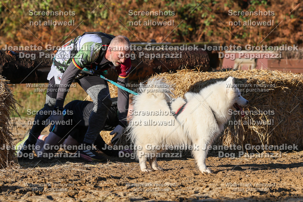 Dog Paparazzi - Strongdog 10-25-1157 | Dog Paparazzi Jeanette Grottendiek Fotografie & Videografie - Realisiert mit Pictrs.com