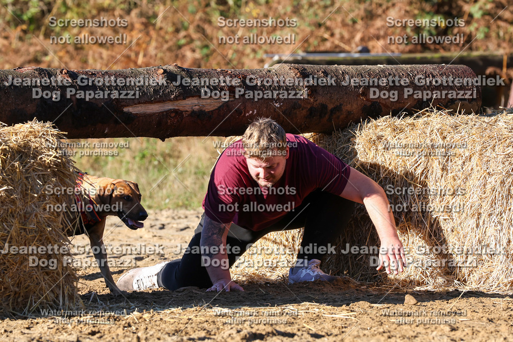 Dog Paparazzi - Strongdog 10-25-1503 | Dog Paparazzi Jeanette Grottendiek Fotografie & Videografie - Realisiert mit Pictrs.com