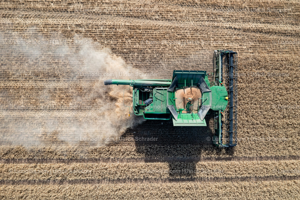 10049-51586 - Getreideernte | Stockfoto und Bilderpool mit Bildmaterial aus Deutschland, dem Harz, Halberstadt, Quedlinburg, Wernigerode und weltweit. Qualitativ hochwertige und professionelle Fotos anschauen und kaufen. - Realisiert mit Pictrs.com