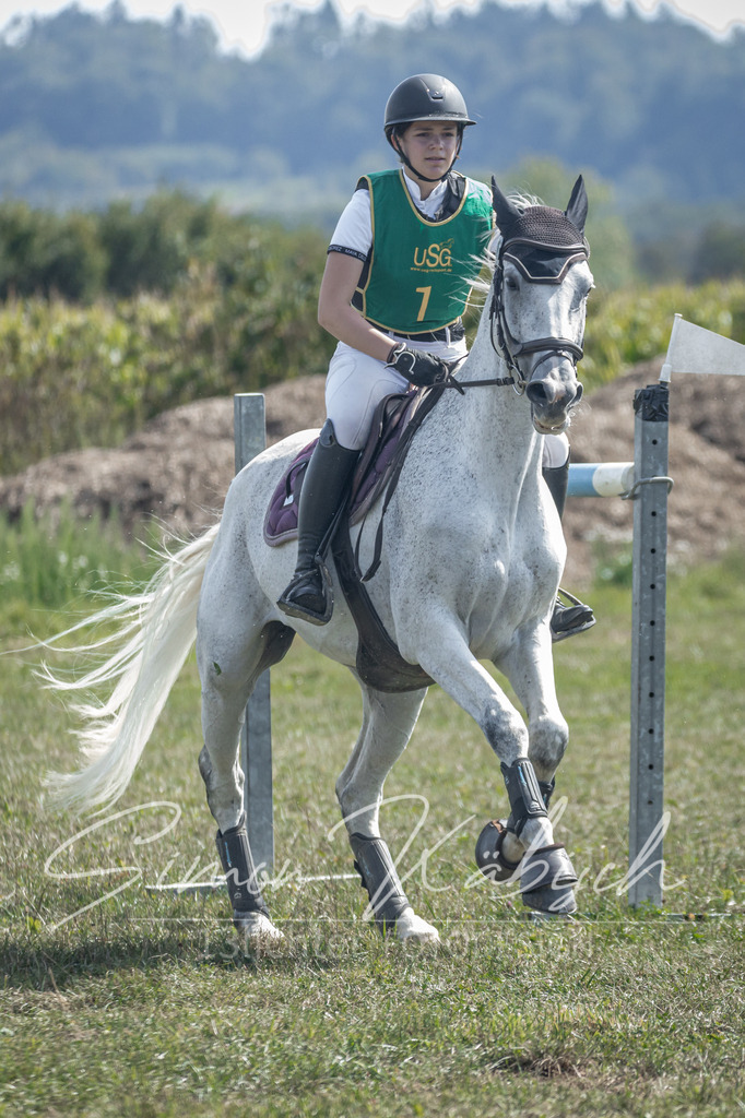 20250907-_3LR7898 | Tierfotografie Pferde, Hunde, Katzen, Haustiere.
Turnierfotografie Reitturniere, Reiten, Springreiten, Dressur in Hanau, dem Main-Kinzig-Kreis und dem Rhein-Main- Gebiet um Frankfurt