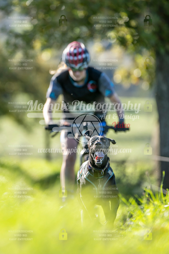 MompixPhotography_20TSB_E3_DS1-12 | PayLife