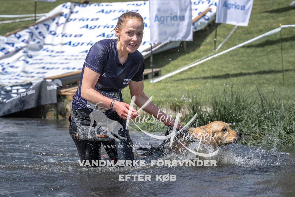 1242_ZZ98665 | kk-dogfotos