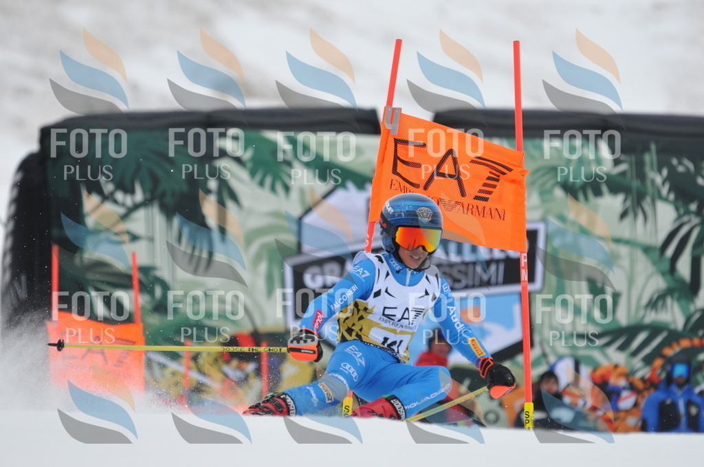 DSC_8949 | holidayphoto