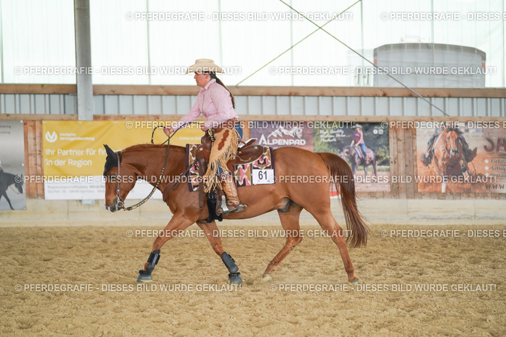 DSC02074 | Pferdegrafie