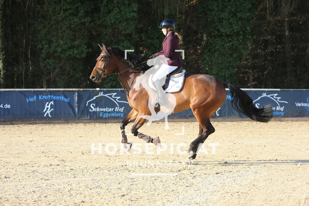 DL2Q7457 | Willkommen bei Brunnmayr - Design & Fotografie – Ihrem Spezialisten für Reitturniere und Pferdeveranstaltungen in Oberösterreich, Salzburg und Bayern! Seit über 17 Jahren sind wir leidenschaftlich dabei.