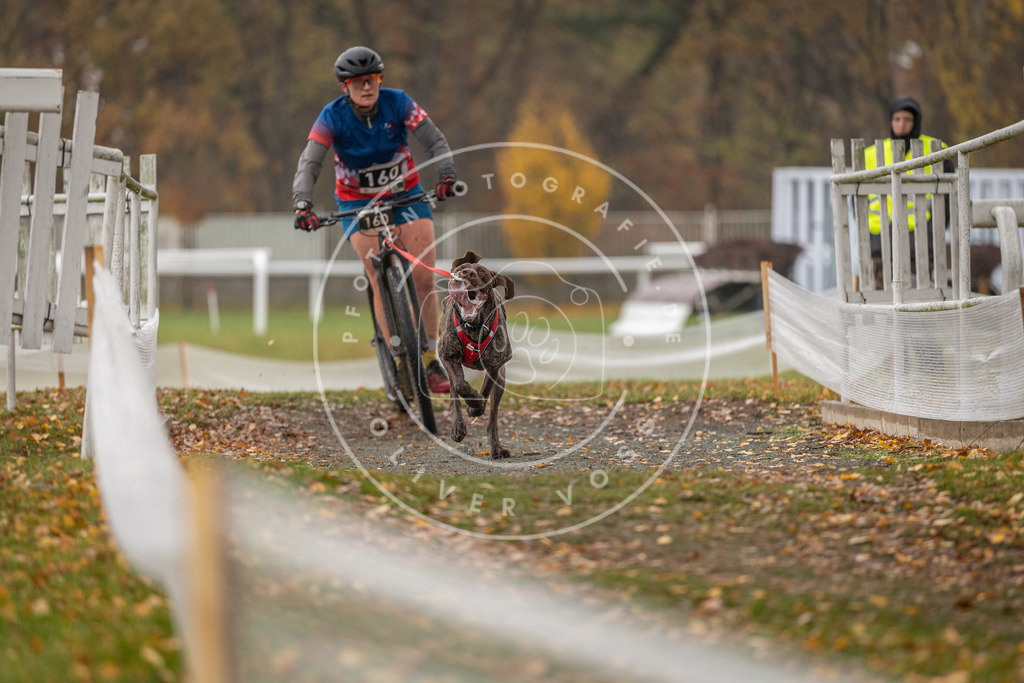 CaniXpix_DV3A8485 | Hundefotografie, Tierfotograf, Pfotenfotografie, Fotoshooting Hund, Hunde Portrait, Hundesport, Hundeportraits, Heideshooting, Hunde, Sportfotograf, Hundefotograf, Turnierhundsport, THS,  - Realisiert mit Pictrs.com