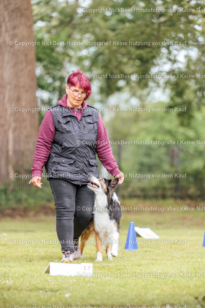 RO-Blumenthal-2026-Nickbest-Hundefotografie-2537 | Dein Hund! Dein Moment! Deine Erinnerungen! Hundefotografie in Bremen Blumenthal. Ich fange die besonderen Momente deines Vierbeiners ein – ob Indoor mit Blitzanlage oder in der freien Natur. Sicher dir dein Moment und dein Termin für eure Erinnerungen.