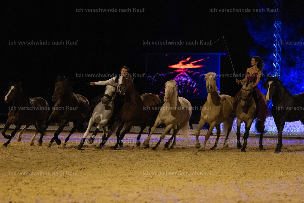 FHClassics-344 | working equitationturnier fotograf videograf stoibphotography marixx film working equitation deutschland reitsport turnierfotografie eventfotografie equestrian events