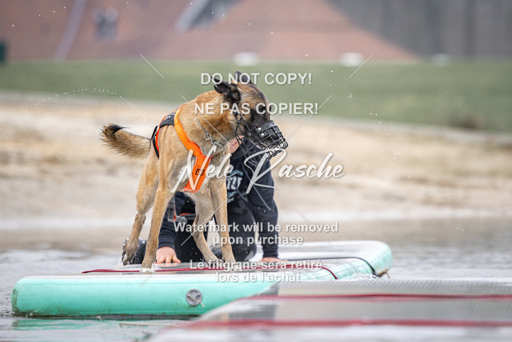 nelerasche_Hulsbeek_Sa0845-1030_379 | nelerasche