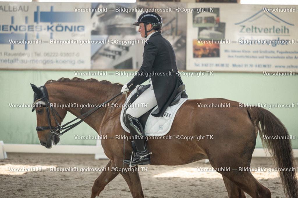 _D5A2270 | Emotionale Pferde- & People-Fotografie rund um Heidelberg, Leimen & Umgebung. Natürliche Fotos von Pferd, Mensch & Familie. Jetzt Termin sichern!