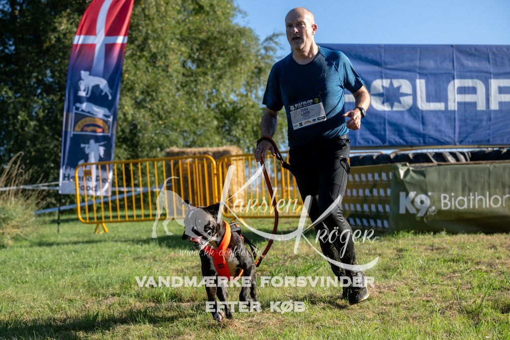 0831_ZZ94039 | kk-dogfotos