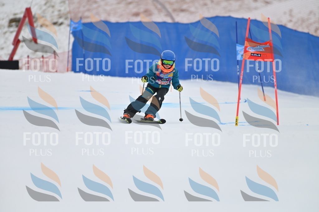 BGV_2376 | holidayphoto