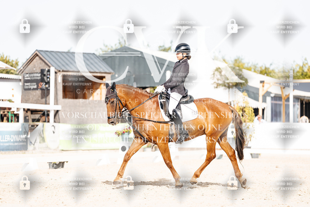 CK905203 | Turnierfotografie Pferdefotografie Trier Rheinland-Pfalz Pferdesport Reitsport Tierfotografie Sportfotografie Pferdevideo Pferdevideografie Equestrianvideography equestrianphotography  - Realisiert mit Pictrs.com