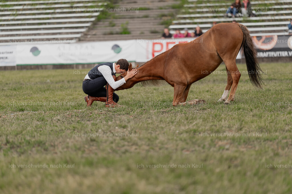 Showprogramm-422 | working equitationturnier fotograf videograf stoibphotography marixx film working equitation deutschland reitsport turnierfotografie eventfotografie equestrian events