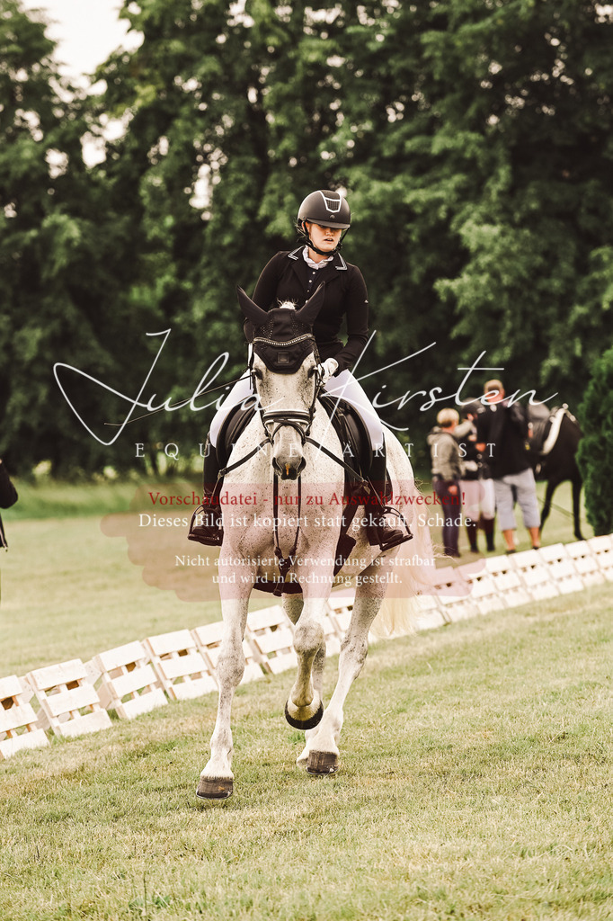 DSC_4998 | Pferde- und Turnierfotografie in Westsachsen. Pferdeportraits, Auftragszeichnungen und intuitive Kunst.