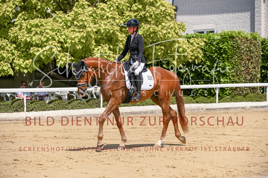 Schugtsche-Aluta25-48.Reitpferfdeprf.-307 | Schugtsche Fotografie - Realisiert mit Pictrs.com