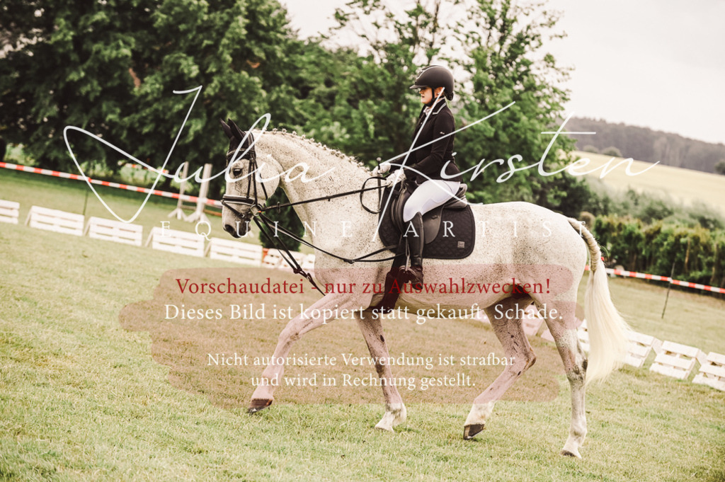 DSC_4971 | Pferde- und Turnierfotografie in Westsachsen. Pferdeportraits, Auftragszeichnungen und intuitive Kunst.