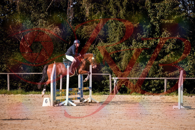 2026_10_03_Siefer-Hof_155400_Z81_73781444 | Professionelle Reitsport-, Turnier- und Eventfotografie von Robert Broda. Galerien mit ausgewählten und bearbeiteten Bildern direkt online ansehen und bestellen.