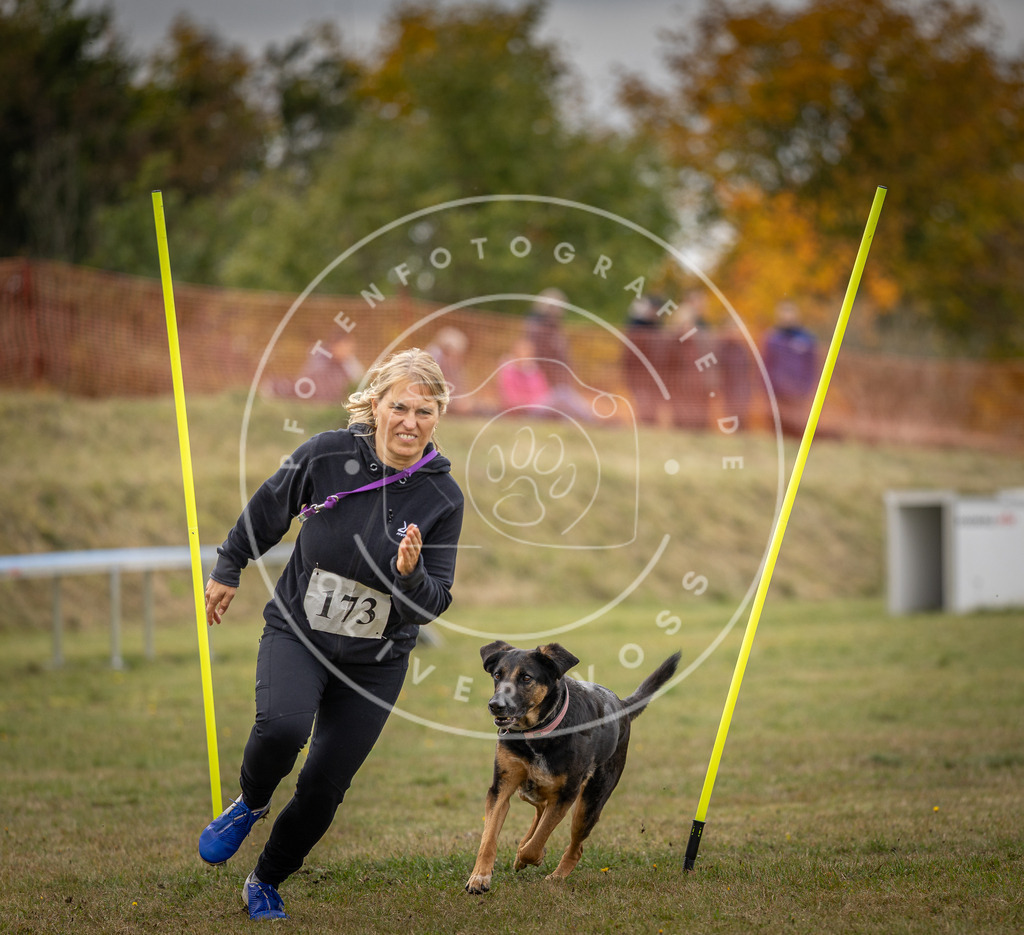 Pfotenfotografie_DV3A5729 | Hundefotografie, Tierfotograf, Pfotenfotografie, Fotoshooting Hund, Hunde Portrait, Hundesport, Hundeportraits, Heideshooting, Hunde, Sportfotograf, Hundefotograf, Turnierhundsport, THS,  - Realisiert mit Pictrs.com