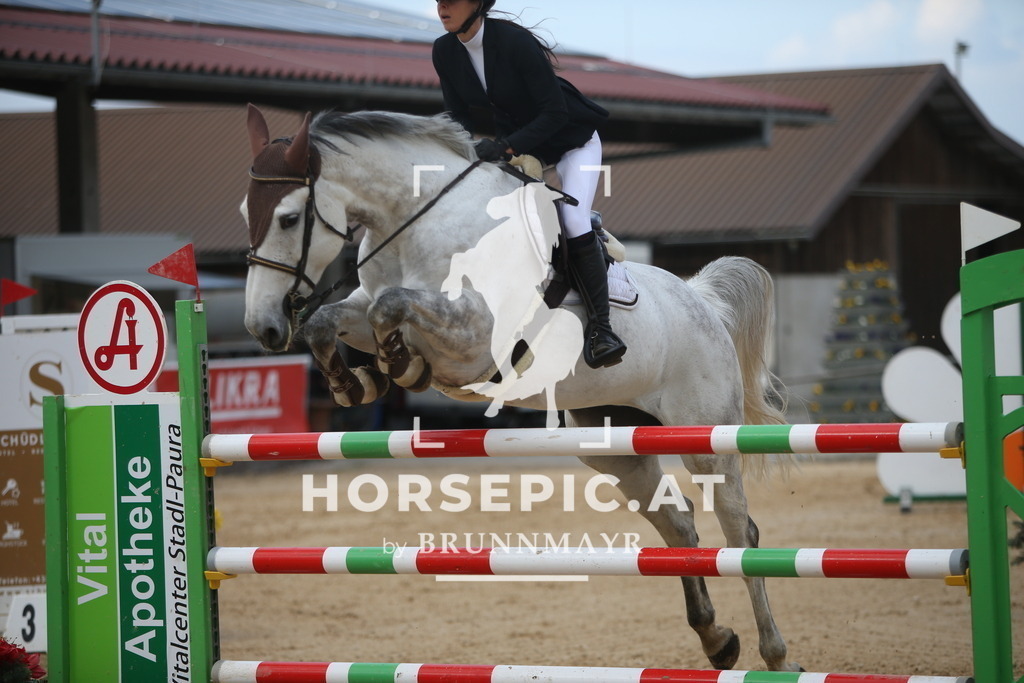 AS8V8318 | Willkommen bei Brunnmayr - Design & Fotografie – Ihrem Spezialisten für Reitturniere und Pferdeveranstaltungen in Oberösterreich, Salzburg und Bayern! Seit über 17 Jahren sind wir leidenschaftlich dabei.