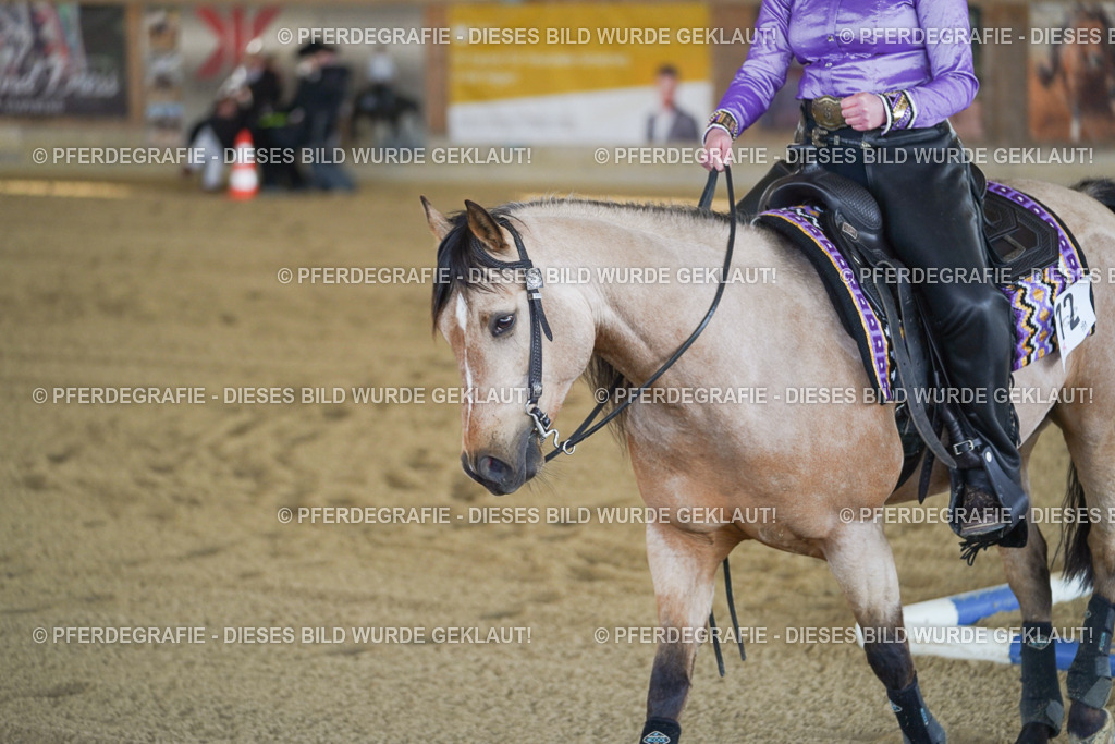 DSC00492 | Pferdegrafie