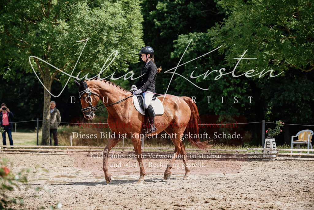 DSC_1401 | Pferde- und Turnierfotografie in Westsachsen. Pferdeportraits, Auftragszeichnungen und intuitive Kunst.
