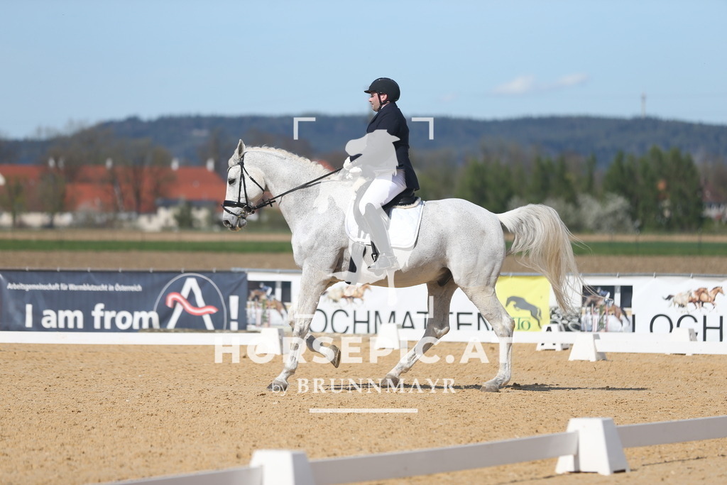 AS8V3370 | Willkommen bei Brunnmayr - Design & Fotografie – Ihrem Spezialisten für Reitturniere und Pferdeveranstaltungen in Oberösterreich, Salzburg und Bayern! Seit über 17 Jahren sind wir leidenschaftlich dabei.