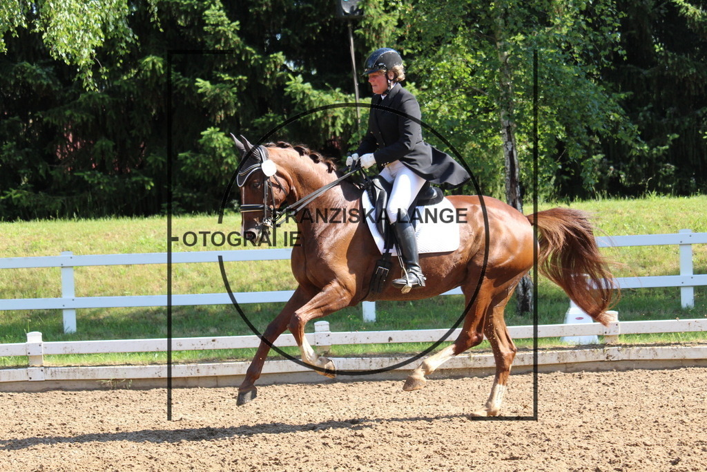 IMG_6595 | franziskalange - Realisiert mit Pictrs.com