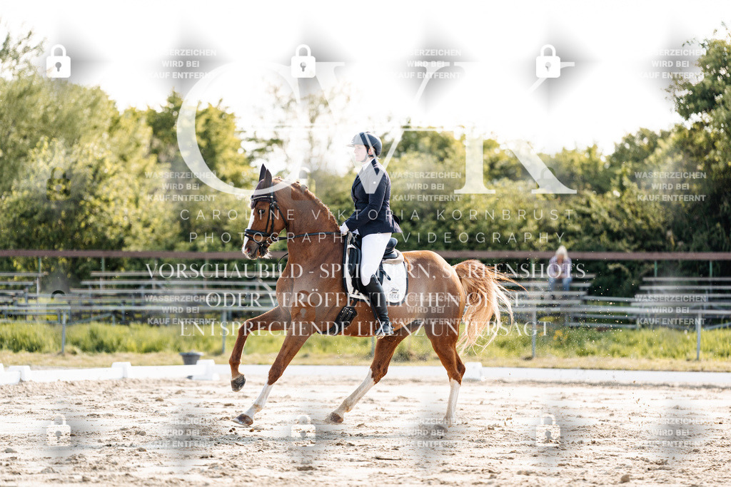 CK909350 | Turnierfotografie Pferdefotografie Trier Rheinland-Pfalz Pferdesport Reitsport Tierfotografie Sportfotografie Pferdevideo Pferdevideografie Equestrianvideography equestrianphotography  - Realisiert mit Pictrs.com