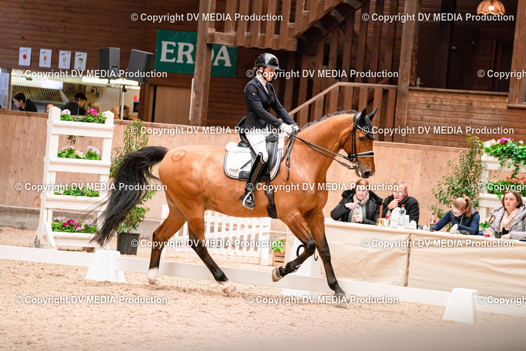 Dressur Tag 3-281 | dv-media-shop - Realisiert mit Pictrs.com