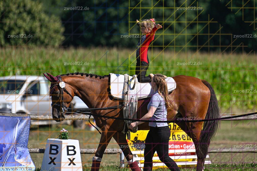 30 Jahre RFV Pulsnitz e.V., Pulsnitz am 09.08.2026 | 30Jahre Reit- und Fahrverein Pulsnitz e.V., Pulsnitz am 08.08.26, Zur 28. breitensportlichen Veranstaltung des RFV Pulsnitz e.V. fanden verschiedene Wettbewerbe in nahezu allen Disziplinen des Pferdesport statt.- Voltigier-Wettbewerb im Schritt - Realisiert mit Pictrs.com