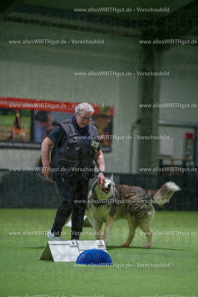 7R504378 | Professionelle Tierfotografie in Mönchengladbach von Daniel Wirth (allesWIRTHgut). Liebevolle & natürliche Bilder von Hunden & Katzen für unvergessliche Erinnerungen.