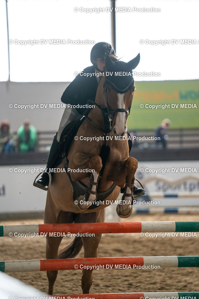 Kranichstein Tag 2-487 | dv-media-shop - Realisiert mit Pictrs.com