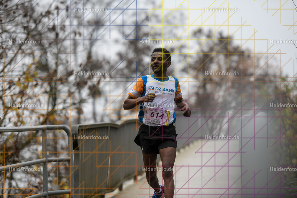 Neusser Erftlauf 2025  | 15km Neusser Erftlauf 2025 Foto: Heldenfoto.de