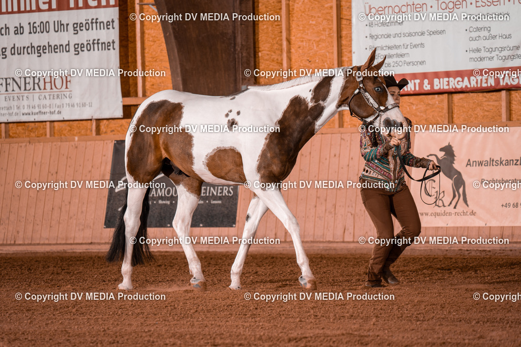 NE201512 | dv-media-shop - Realisiert mit Pictrs.com