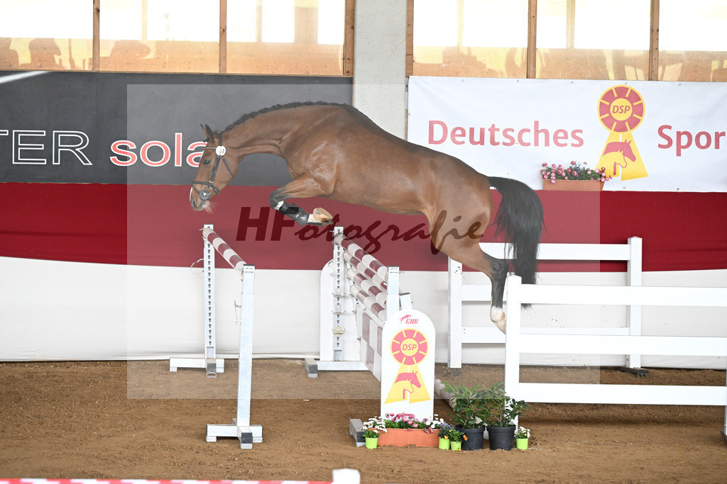 Kat-Nr. 38 Zalentino v. Zaccorado_Isaak_9240811 | hf-fotografie - Realizzato con Pictrs.com