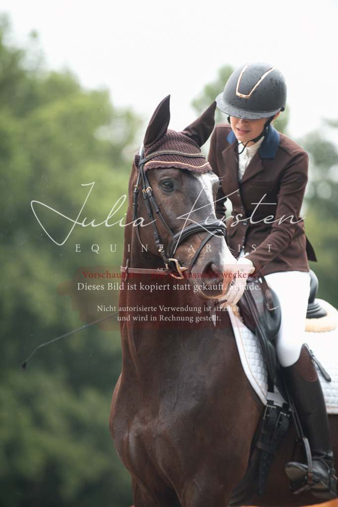 DSC_9769 | Pferde- und Turnierfotografie in Westsachsen. Pferdeportraits, Auftragszeichnungen und intuitive Kunst.