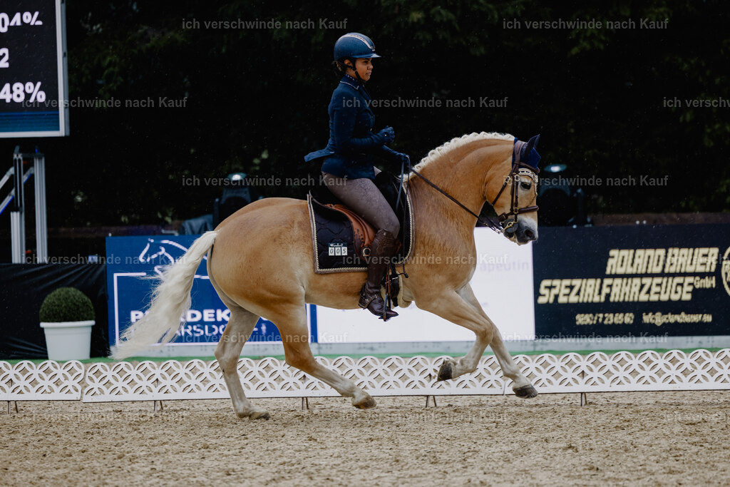 Tanesha5FHC2025-24848 | working equitationturnier fotograf videograf stoibphotography marixx film working equitation deutschland reitsport turnierfotografie eventfotografie equestrian events
