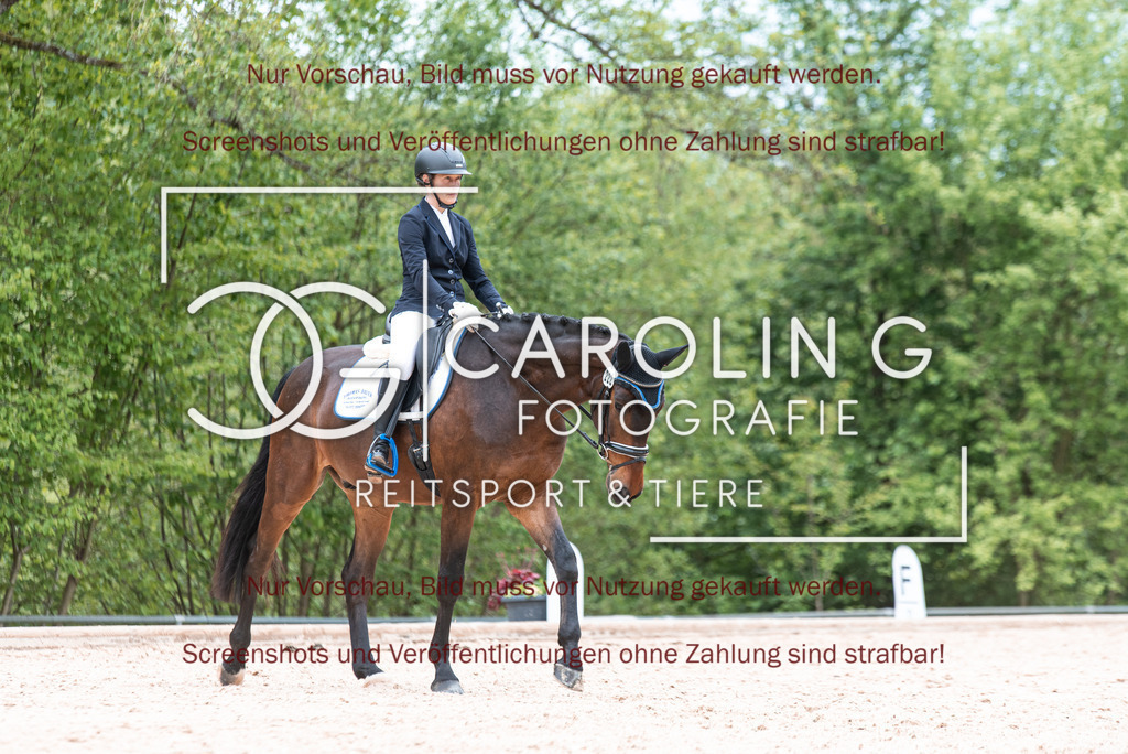 DSC_6910 | Turnierfotografin Carolin Gieschke,Reitsport Turnierfotografie Carolin G Fotografie | Turnierfotos aus Kirchheim/Teck, Esslingen, Stuttgart und dem Bodenseekreis