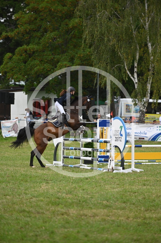 DSC_2276 | sattelsport - Realisiert mit Pictrs.com