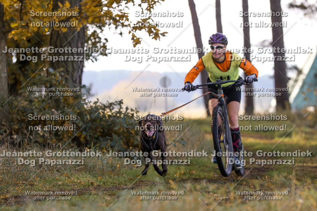 Dog Paparazzi - Elsholz 25 -70 | Dog Paparazzi Jeanette Grottendiek Fotografie & Videografie - Realisiert mit Pictrs.com