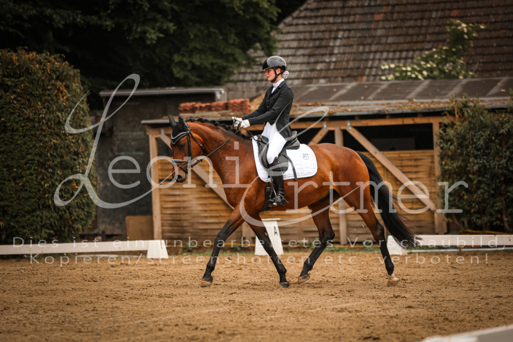 DoDrA00102 | Leoni Ertmer Photography - Realisiert mit Pictrs.com