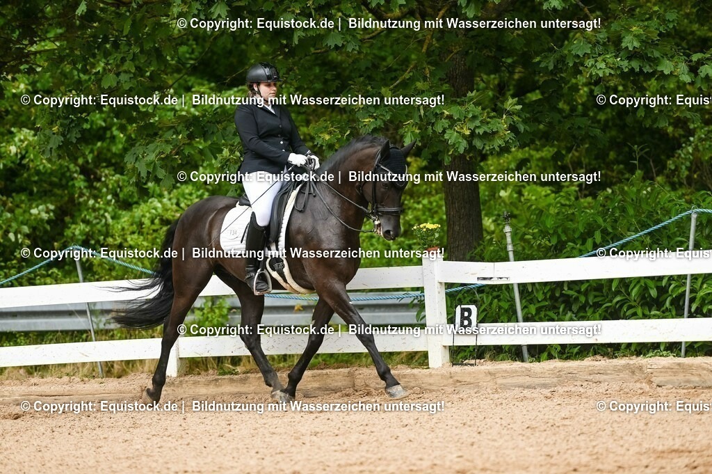 20230716_01_Dressurprüfung Kl.M_0569 | equistock