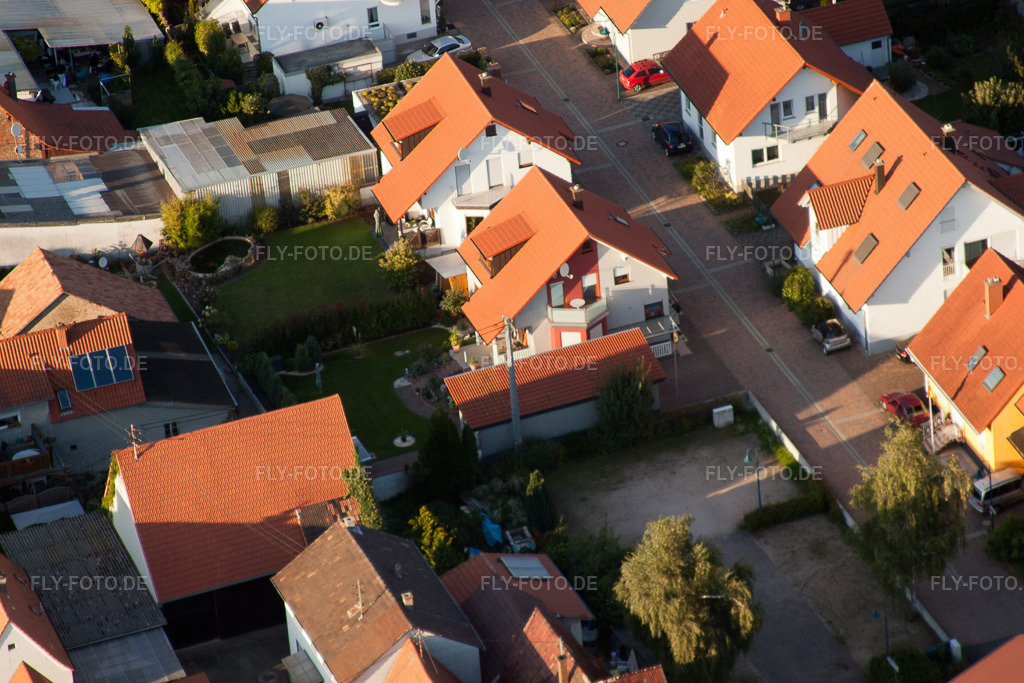 Luftbild: Im Storchennest in Erlenbach bei Kandel im Bundesland Rheinland-Pfalz in Deutschland. Foto: IMG_32699.jpg vom 01.09.2010 durch Werner Riehm/FLY-FOTO.de
